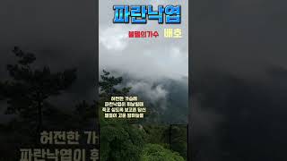 파란낙엽--불멸의가수--배호