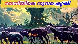 തുവര കൃഷി തമിഴ്നാട് തേനിയിൽ #youtubevideo #travelvlog #youtube   Tamilnadu, Theni, Cultivation