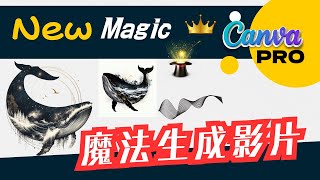 Magic Design for Video｜Canva新功能介紹及示範效果