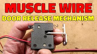 Muscle-wire cabinet lock