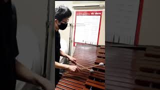 #marimba \u0026 #piano (Hitoshi Muto) “There will never be another you” #jazzstandart #percussion