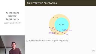 Pierre-Emmanuel Emeriau -- Witnessing Wigner Negativity