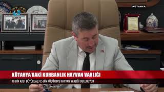 KÜTAHYA’DAKİ KURBANLIK HAYVAN VARLIĞI