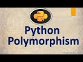 Python Object Oriented Programming | Python Polymorphism. #6