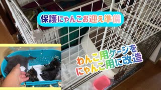 【狆とミニチュアダックスのMIX犬\u0026保護猫】保護にゃんこ受け入れ準備をした日