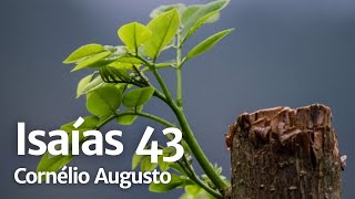 Bíblia Falada | Isaías 43