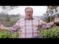 the secrets of a productive life with rick warren