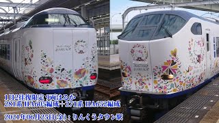 (特64) 281系 HA605編成＋271系 HA652編成 りんくうタウン駅 通過 (1080p60fps対応)