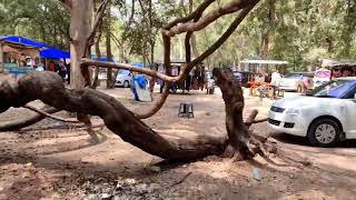 River Beach || Stone Interlocked Rings || Talakadu||@travelenjoyingnature || Talakadu Mistory