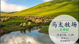 神的慈爱永远长存 诗篇118：1-29 崔显曜牧师灵修系列