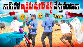 నాకొడక నా బర్రెకు షుగర్ టెస్ట్ చేయమంటావా 🤣ఫన్నీ ప్రాంక్ 👌