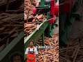 fcnfm unlocking the potential of your wood waste with fcn.fm world class solution woodchipper