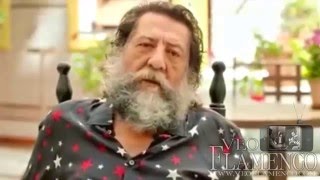 Cuanta razon tenia Manuel Molina | VEOFLAMENCO