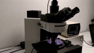 Olympus BX60 Brightfield/Darkfield Motorized Microscope BX60MF [BOSTONIND] - 15732