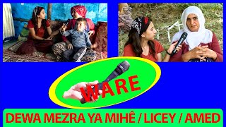 WARE - DEWA MEZRA YA MIHÊ / LICEY / AMED - (2015)