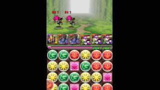 パズドラ【歴龍の大魔境】冥き孤島　チャレンジモード　光アヌビスPT（理事長）