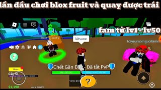 lần đầu chơi blox fruit đi random trái ác quỷ và cái kết...