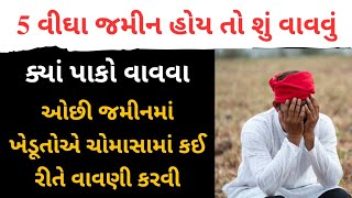 5 વીઘા જમીન હોય તો શું વાવવું | ઓછી જમીન વાળા ખેડૂતોએ કઈ રીતે ચોમાસામાં વાવણી કરવી | Khedutni Vato