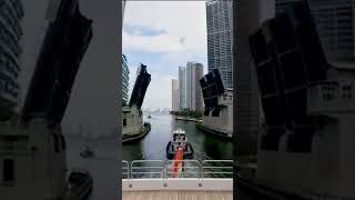 M/Y Acacia Miami River #Shorts