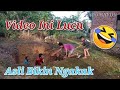 Video Lucu Terbaru. Kumpulan Video Comedy Ini Bikin Sakit Perut