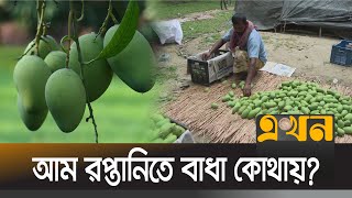 ভারত-পাকিস্তানের চেয়ে পিছিয়ে বাংলাদেশ | Mango export from Bangladesh | Ekhon tv