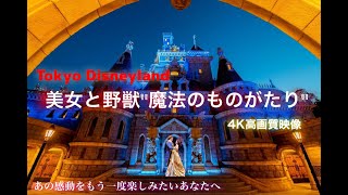 12年ぶりの東京ディズニーランド‼️✨　美女と野獣 ''魔法のものがたり’'  4K高画質　2024.11.25