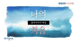 유업을 받을 자 - 7/11큐티(갈라디아서4:1-11)