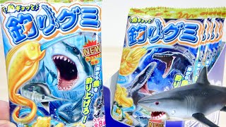 魚ギョッと!釣りグミ 新ステージ登場!! 1BOX 10個開封♪モササウルス \u0026 ワニ