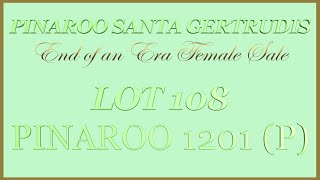 Lot 108 Pinaroo 1201 (P)