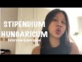 Stipendium Hungaricum Interview