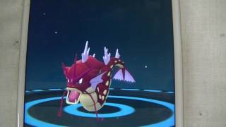 【ポケモンGO】金のコイキングを進化させてみた。