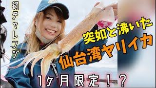 仙台湾ヤリイカ⭐︎プラヅノ\u0026イカメタル1ヶ月限定チャレンジ‼️