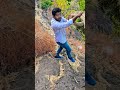 കാടും മലയും.... trivandrum viral forest ronishzvlog bramayugam