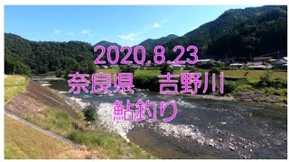 奈良県　吉野川の鮎釣り(2020.8.23)