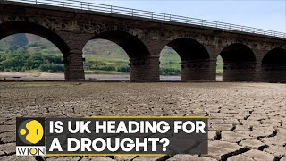 Is UK heading for a drought? UK residents urged to use water wisely | World English News | WION