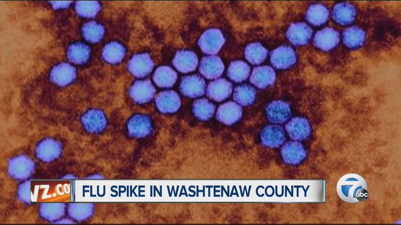 Flu Spike In Parts Of Michigan - YouTube