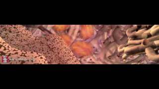 Cell Signals (Full length)