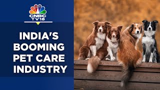 India's Pet Care Industry Is Set To Touch ₹10,000 Cr By 2025 | N18V | CNBC TV18