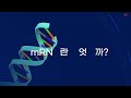 dna란 무엇인가 mrna 유전자 염색체 게놈 정리