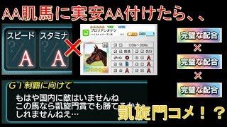 【ダビマス】AA肌に実安AA付けたら新コメント来たー！！！【第221回ダービースタリオンマスターズ攻略】