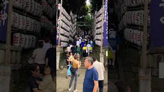 子供神輿の宮入り！【代々木八幡宮例大祭2024】 #shorts #japan #travel #代々木 #渋谷 #祭り #festival