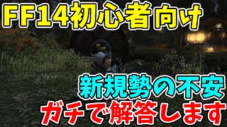 【FF14 初心者】FF14初心者向け！新規勢の不安ガチで解答します！【ファイナルファンタジーXIV】