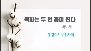 [시낭송] 목화는 두 번  꽃이 핀다/박노해(낭송:봉경미)좋은시, 애송시, 감동시,치유시,사랑시,그리움시,이별시,명시