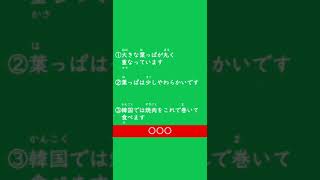 やさ日３文クッキング 野菜編 WM009