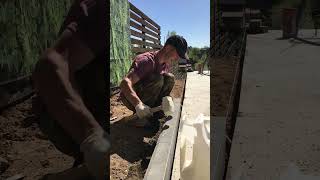 Putting up a sidewalk curb.🔨#paving #construction #builder #diy #concrete #work #landscape