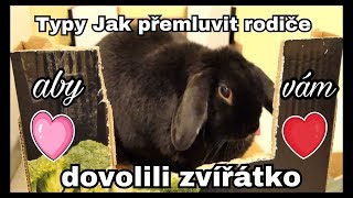 Typy jak přesvědčit rodiče, aby vám dovolili zvířatko.