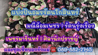 แบ่งปันอมรรัตนโกสินทร์ l มณีล้อมเพชร l รัตนรุ่งเรือง l ศิลานักปราชญ์ l และชุดเซ็ทบอกรักแม่ 280 บาท