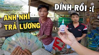 Anh Nhí Betta trả tiền Youtube và Trò Đùa Keo Dán 502 cười sặc cơm