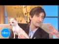 Adrien Brody’s Chihuahua Steals the Show