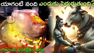 యాగంటి నంది ఎందుకు పెరుగుతుంది? || Why Yaganti Nandi Growing || Yaganti UmaMaheshwara swamy History